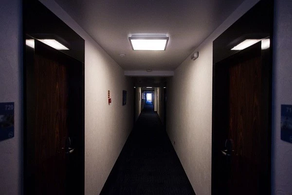 Александр Подгорчук