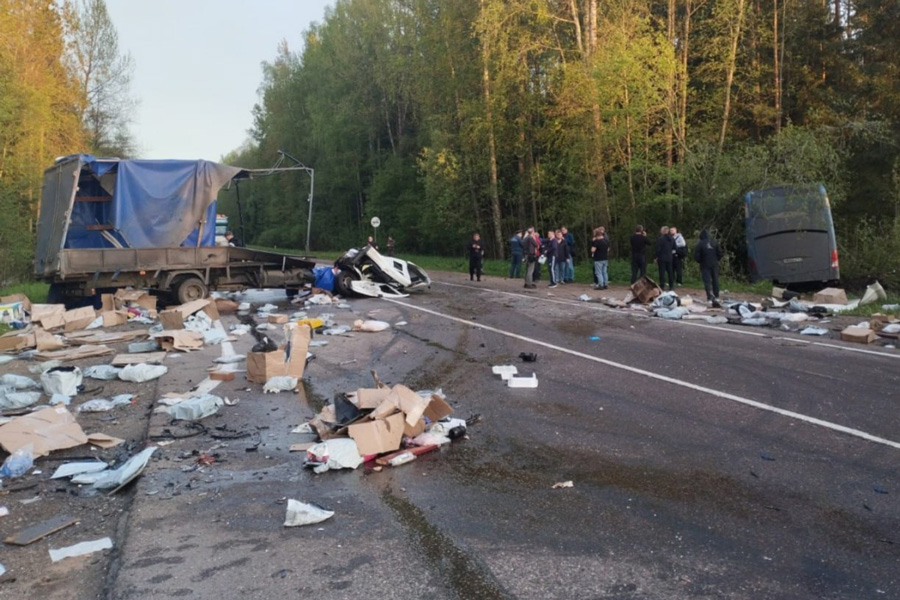 Фото: ГУ МВД России по г. Санкт-Петербургу и Ленинградской области