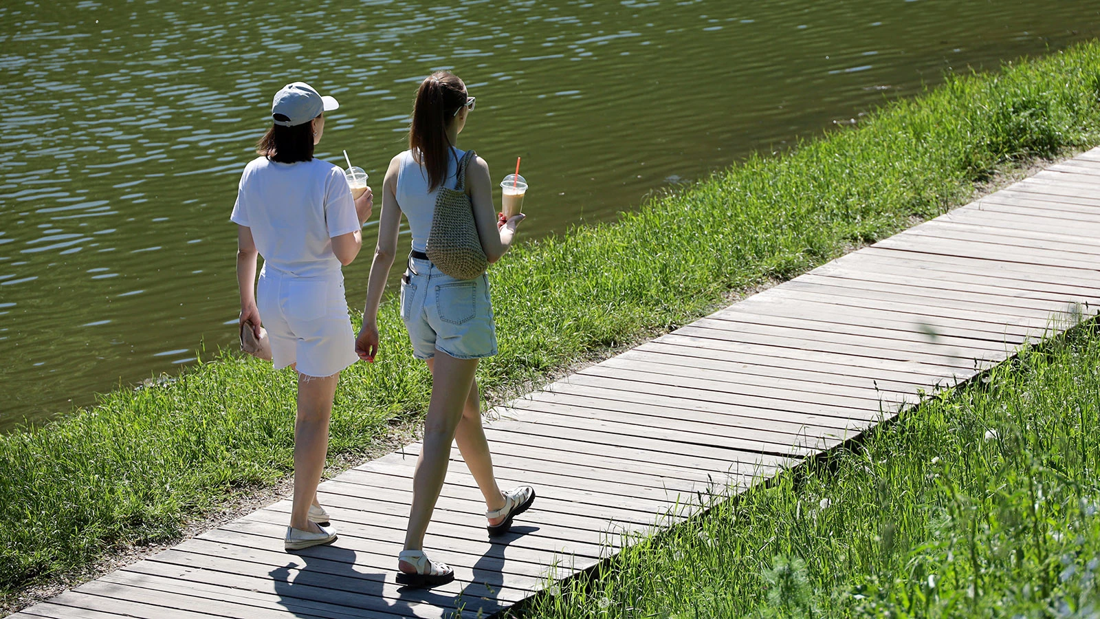 Лето 2026 года может стать чрезвычайно жарким. Прогноз Гидрометцентра