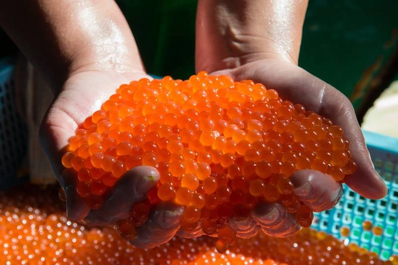 правительство Сахалинской области