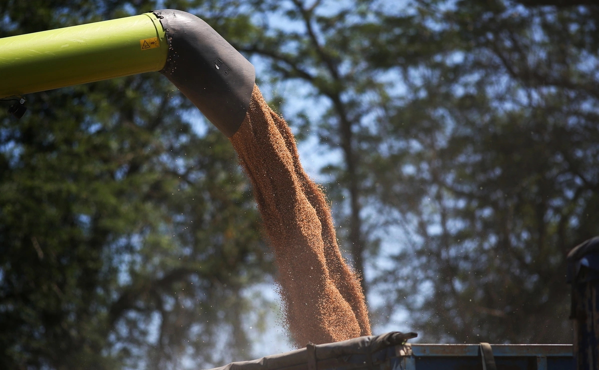 Виталий Тимкив / РИА Новости