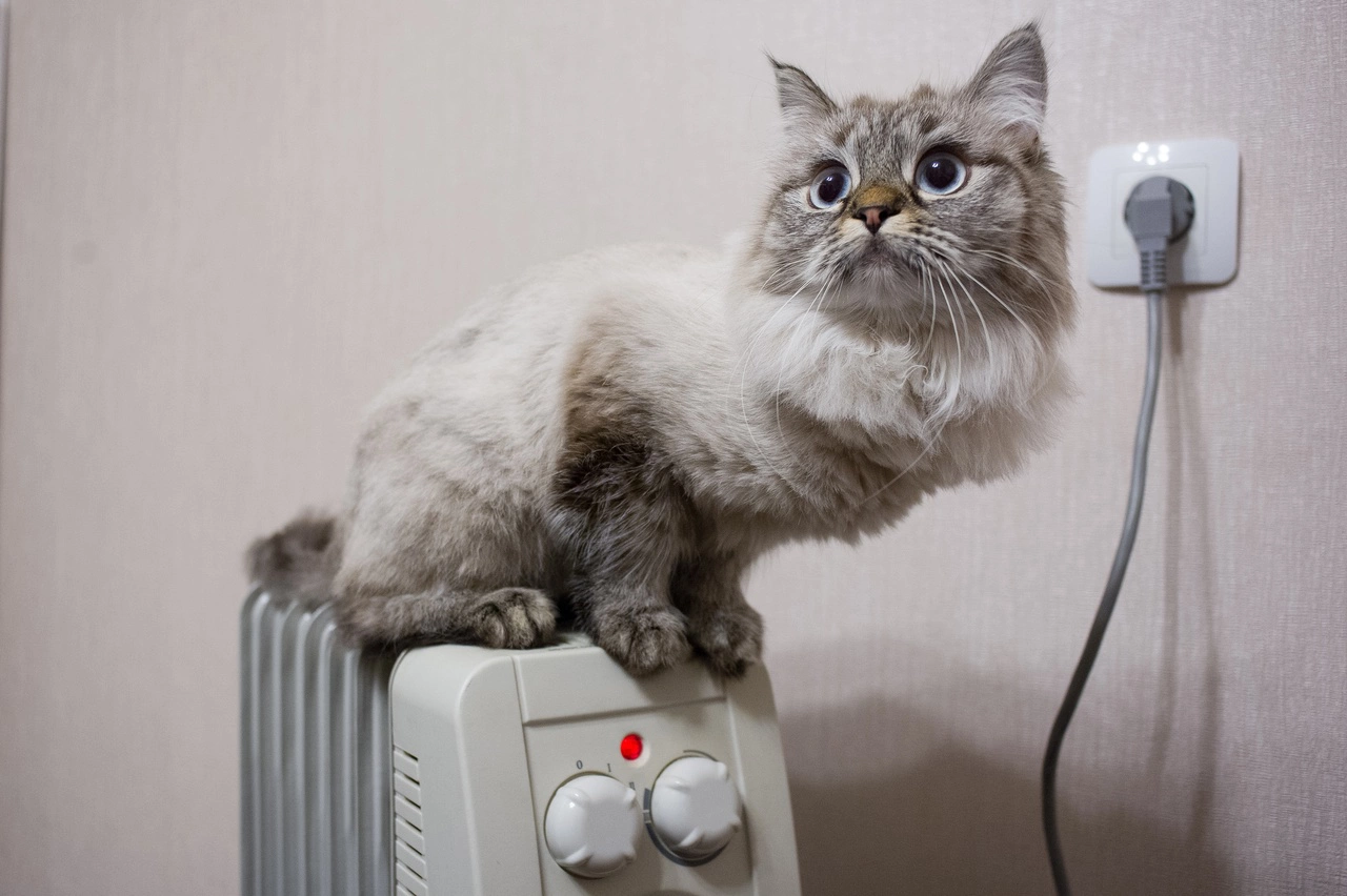 Владимир Жабриков / РИА URA.RU