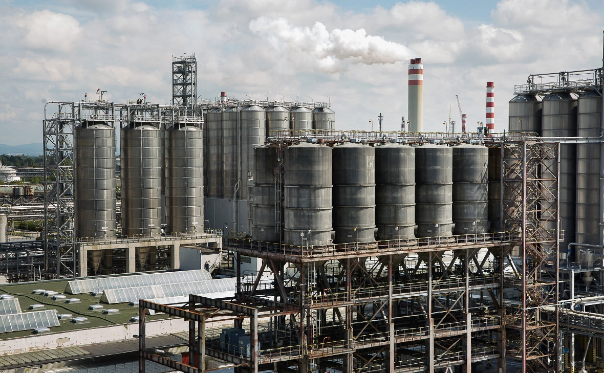 Zuzana Gogova / Getty Images