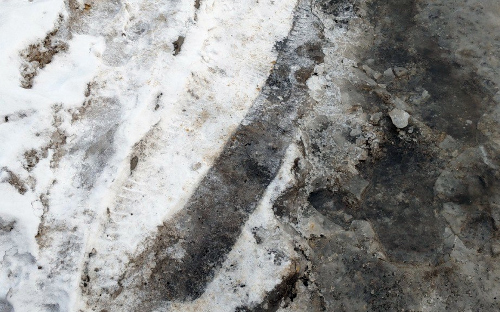 Фото: РБК Черноземье