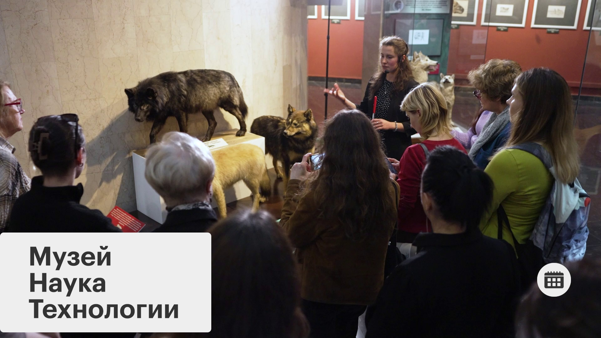 Эволюция впечатлений в Дарвиновском музее