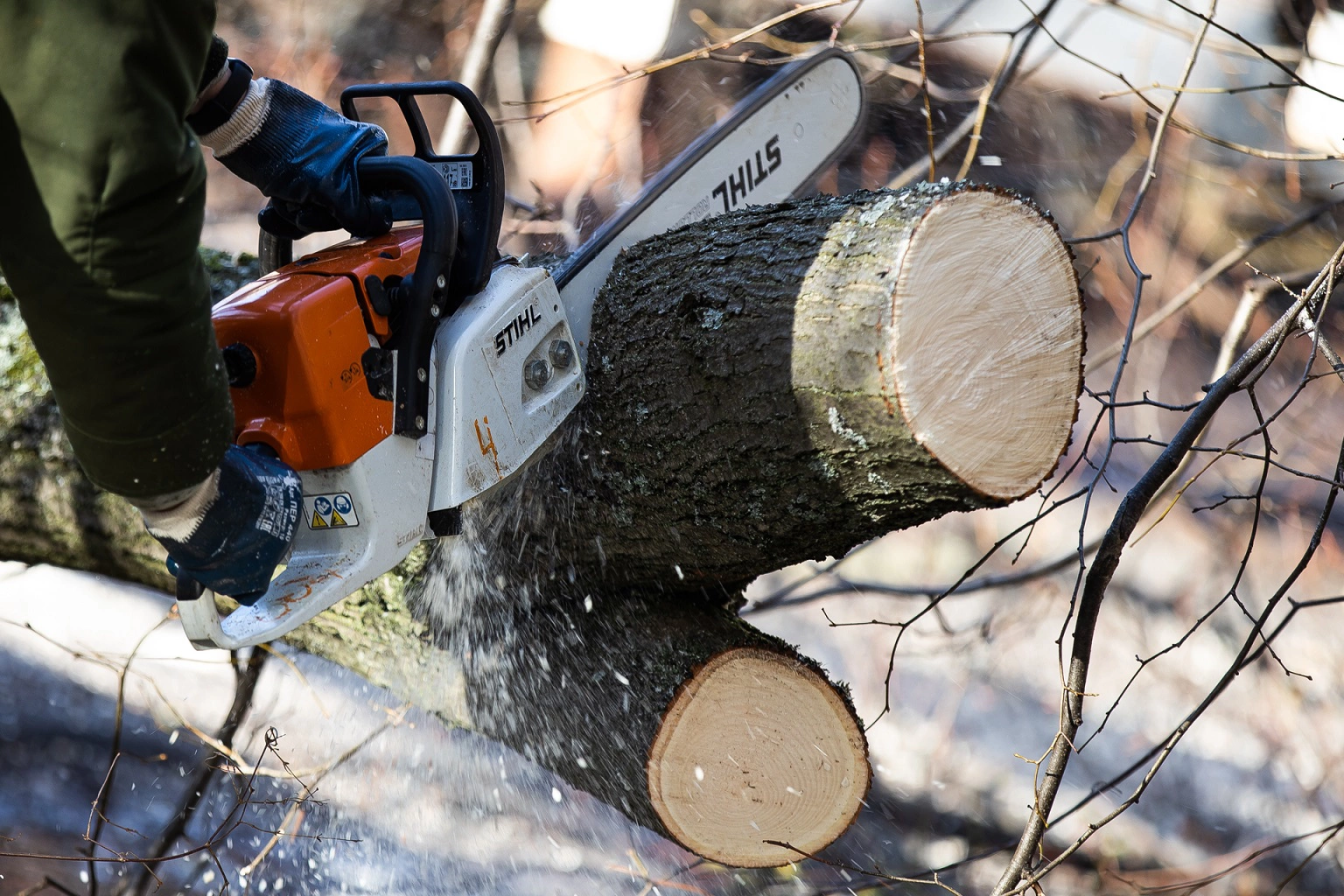 Александр Подгорчук