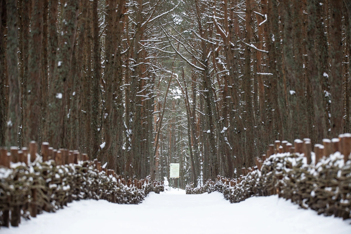 Александр Подгорчук