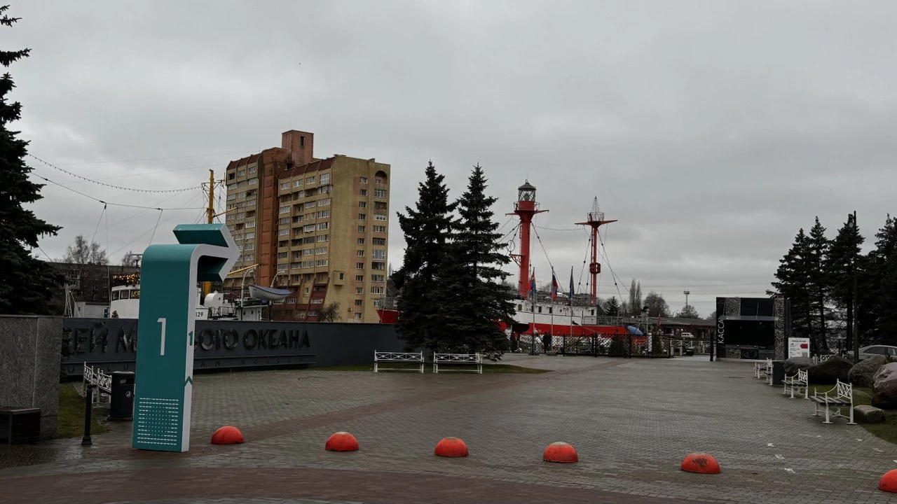 Марина Маркевич