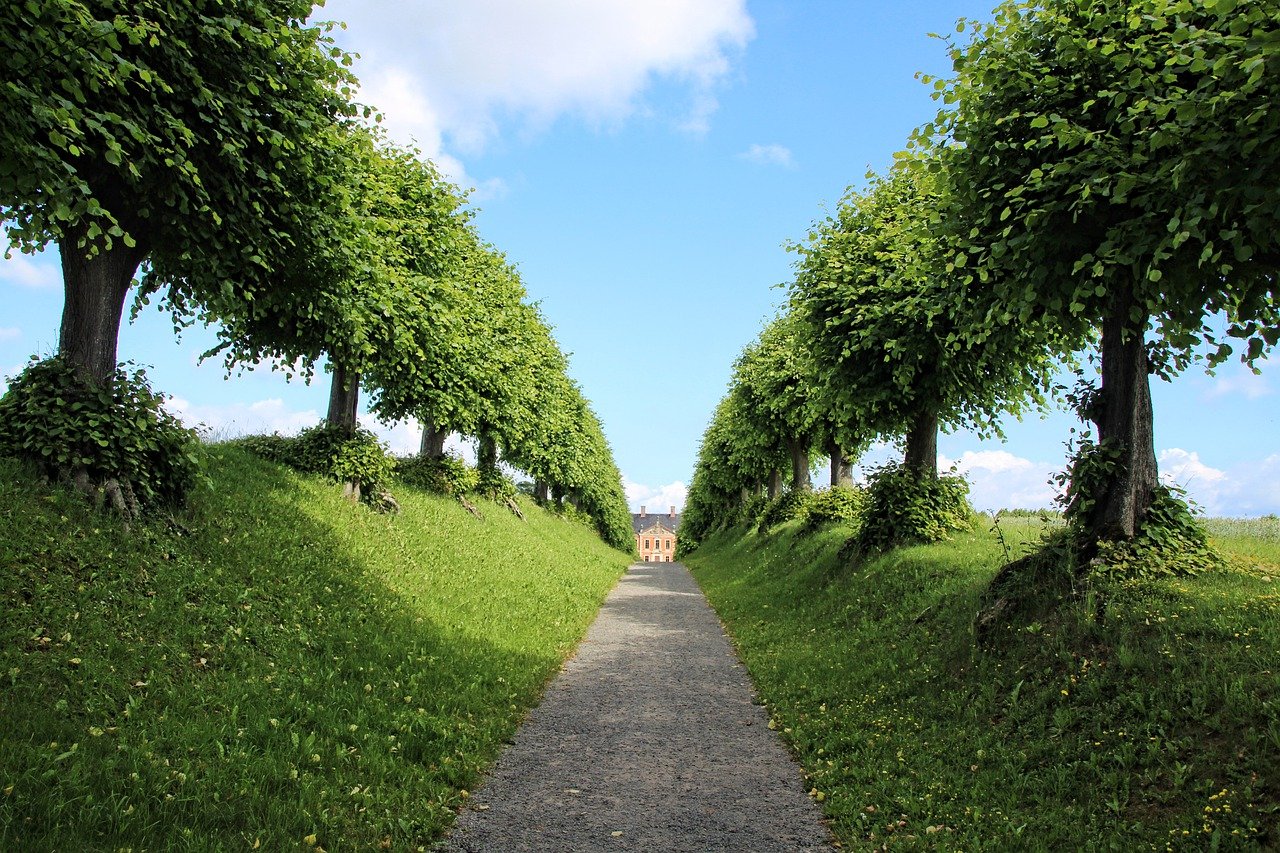 Фото: pixabay.com