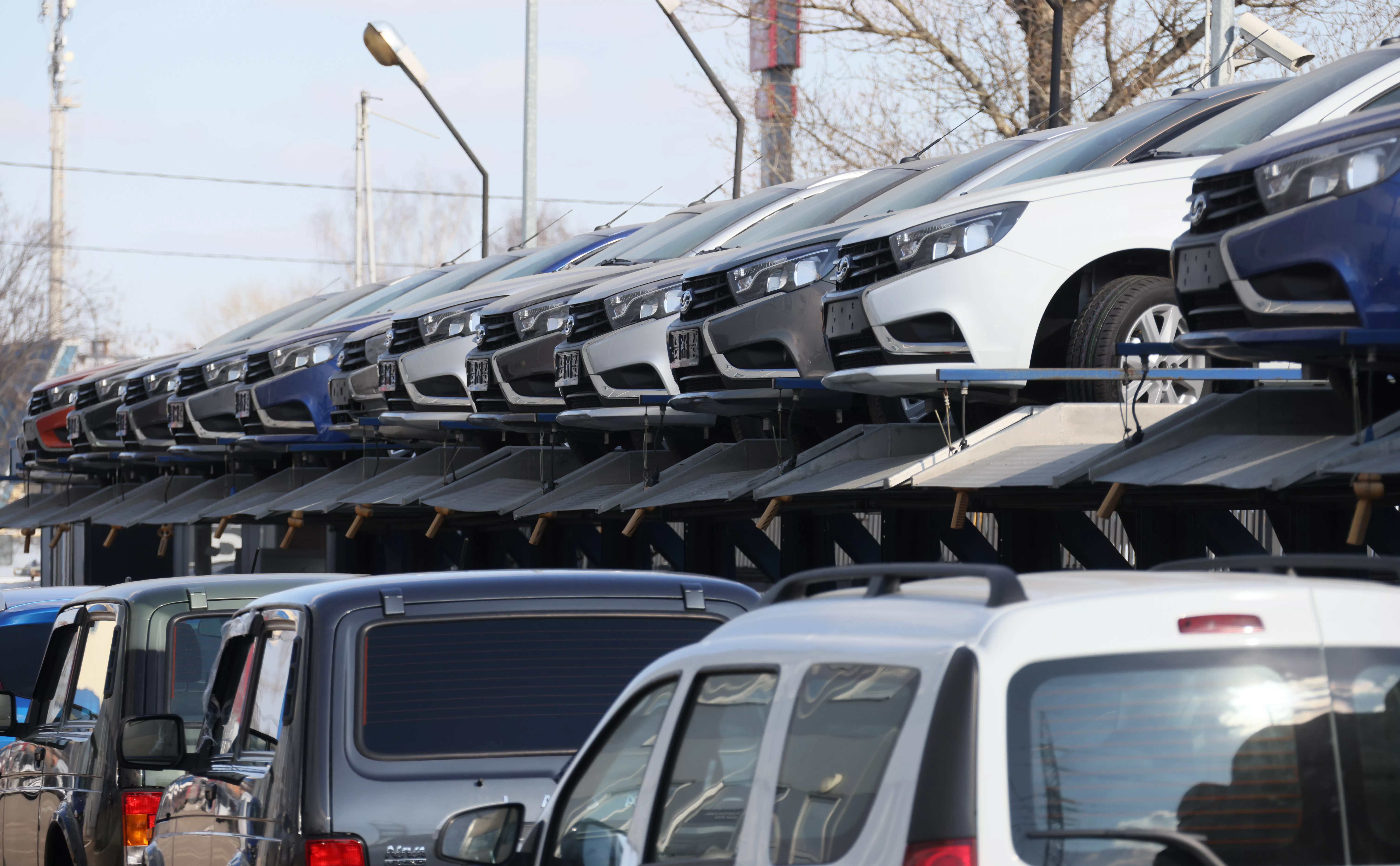 Михаил Метцель / ТАСС