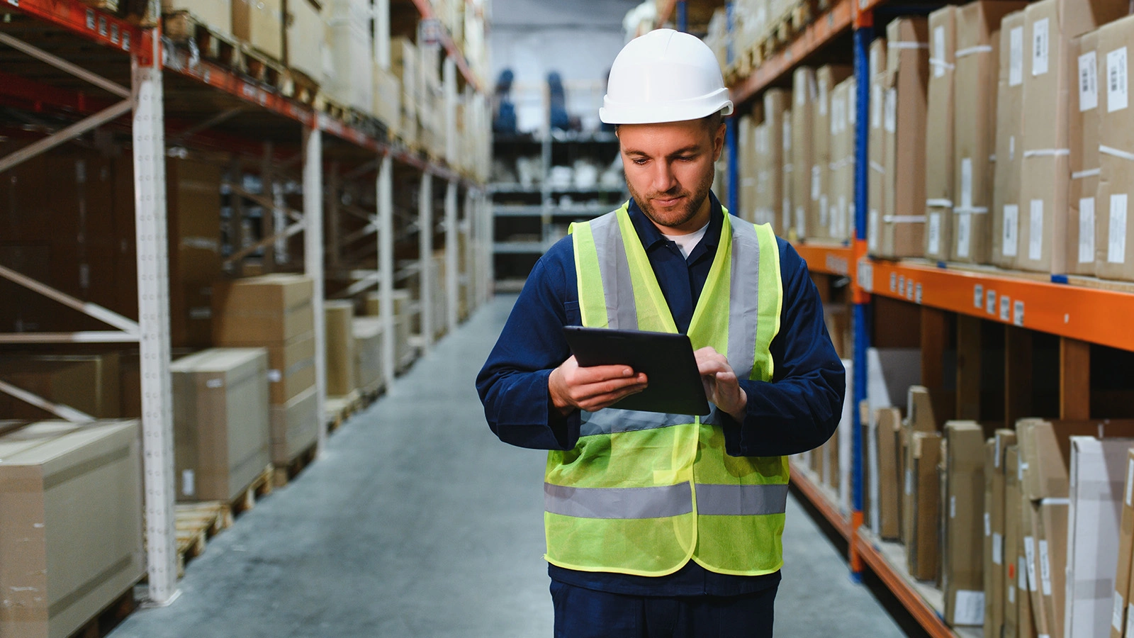 День снабженца ежегодно отмечают 19 декабря, в 2025 году дата выпадает на пятницу