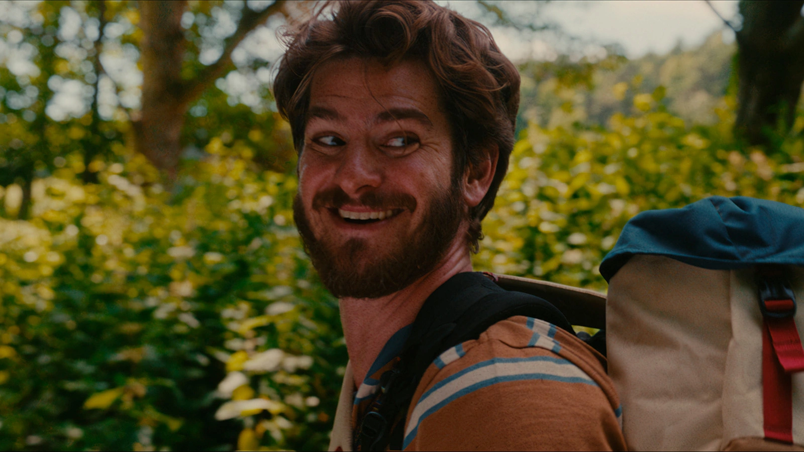 Кадр из фильма «Вверх по волшебному дереву»