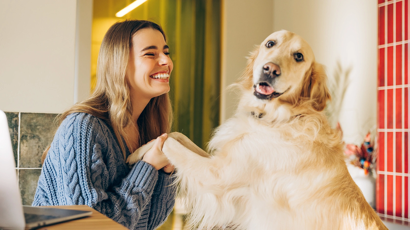 В какие заведения можно зайти с собакой. Юрист объяснил правила