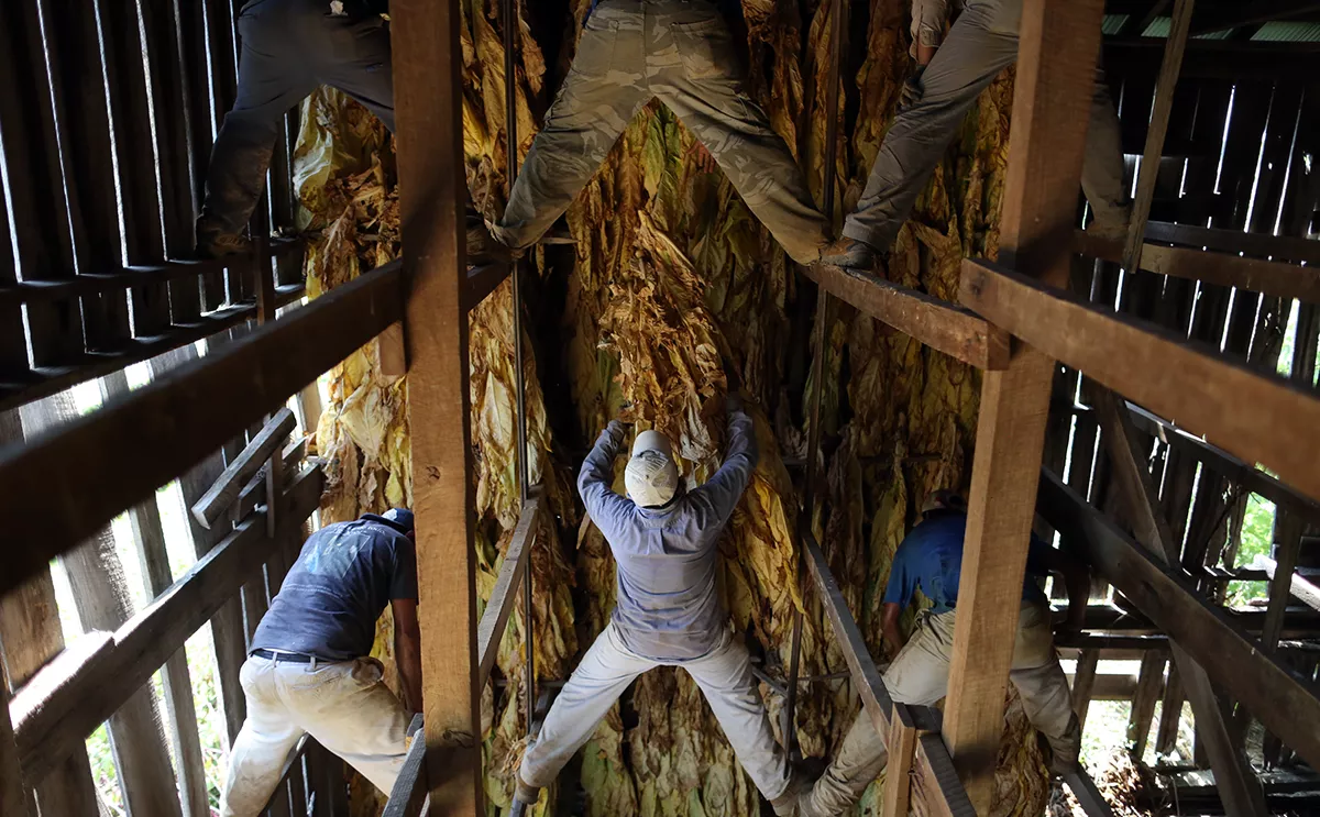 Luke Sharrett / Getty Images