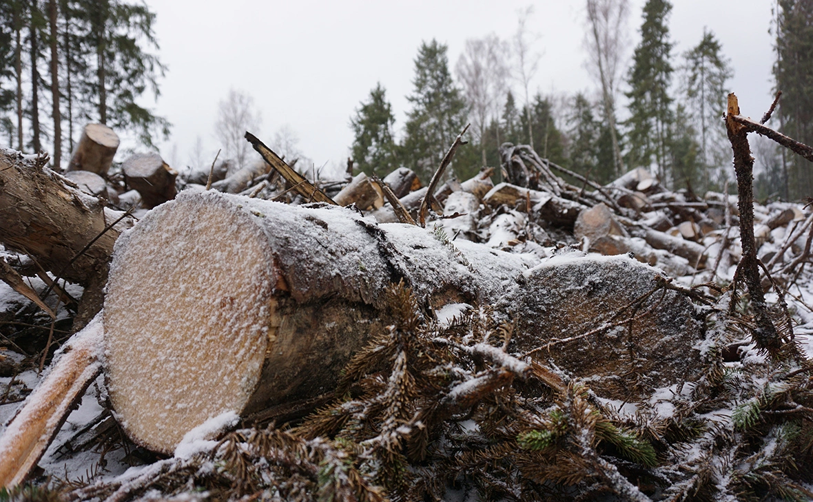 Александр Артеменков / ТАСС