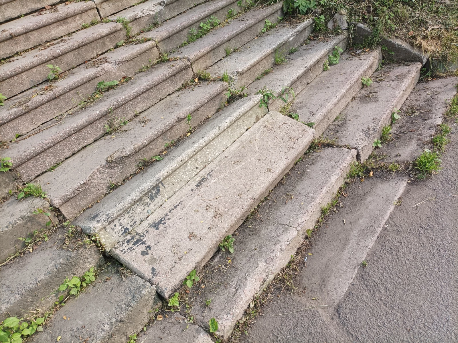 РБК Приморье