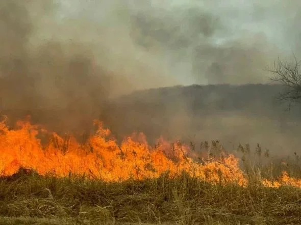 РБК Приморье