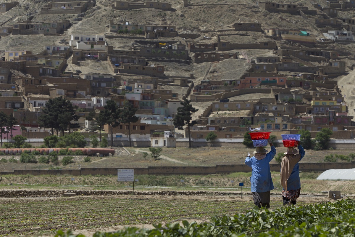 Фото:Paula Bronstein / Getty Images