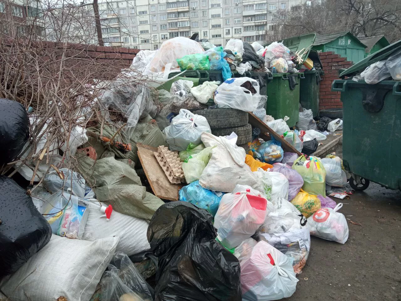 РБК Новосибирск