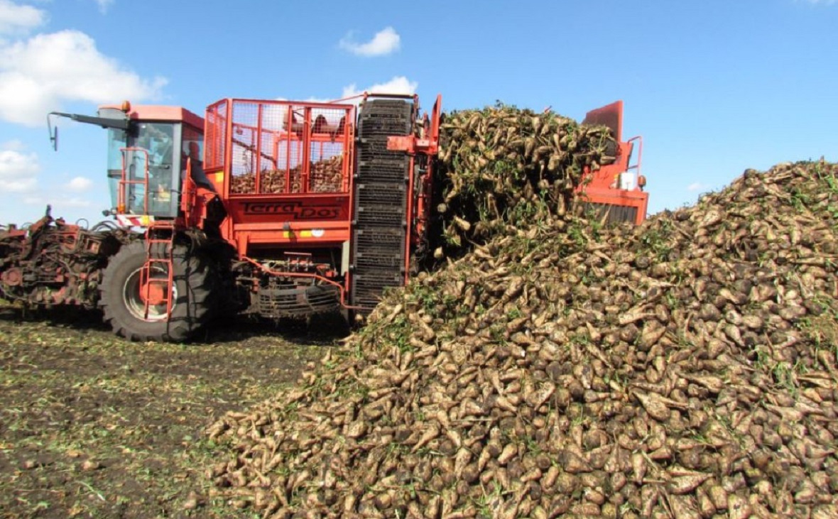 Фото: Минсельхоз РБ