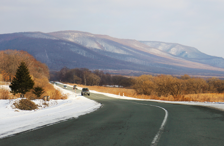 Правительство Приморского кра