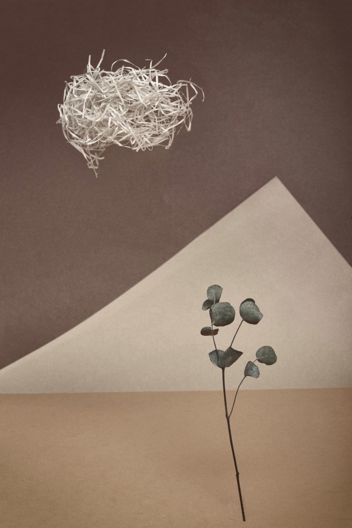 Фото: Marina Leonova / Pixels