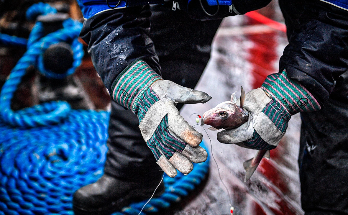 Владимир Песня / РИА Новости