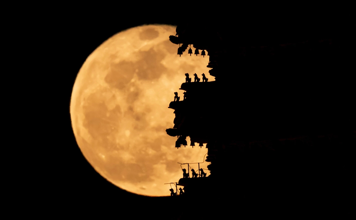 Sanghee Liu / Shutterstock