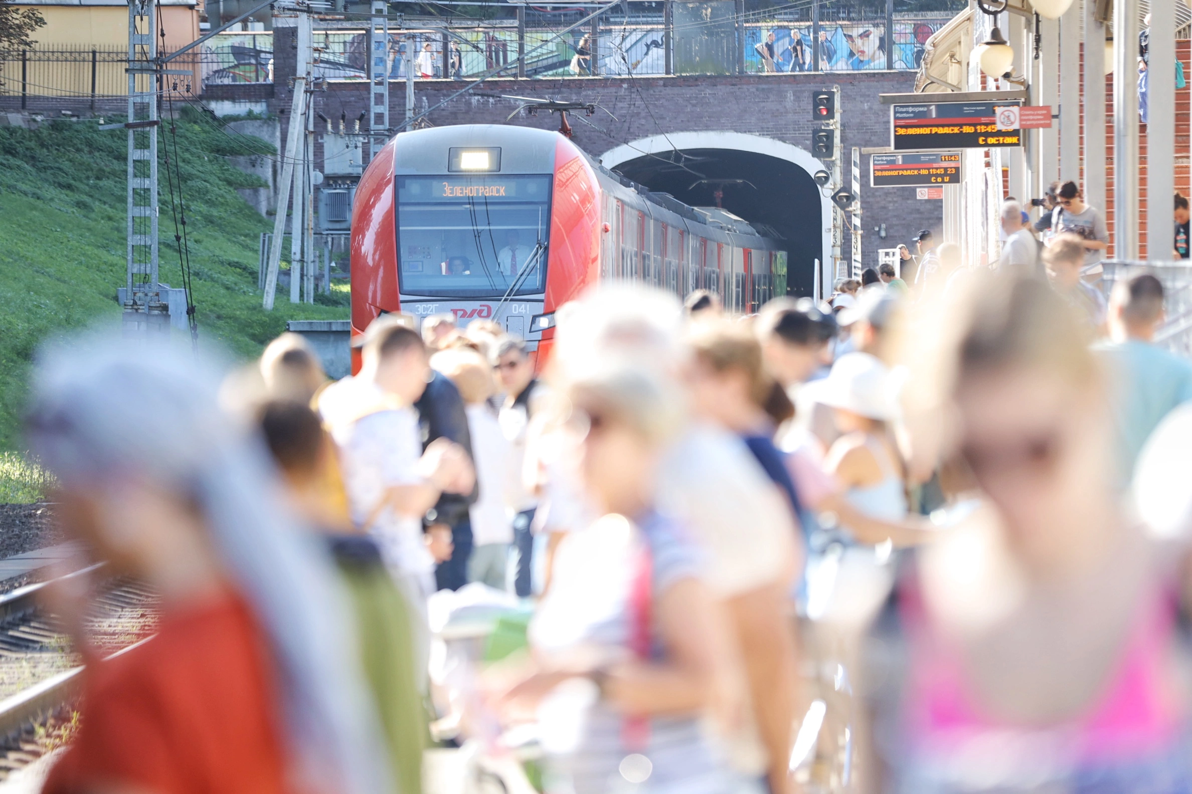 Александр Подгорчук