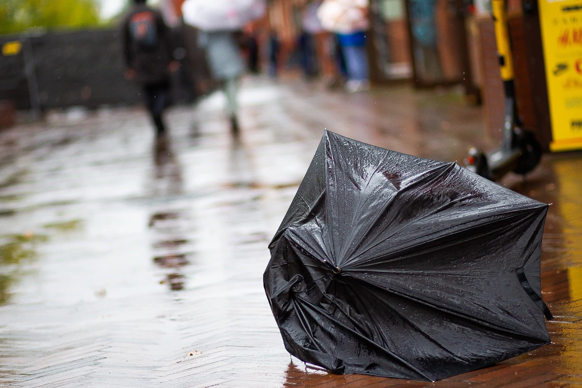 Александр Подгорчук