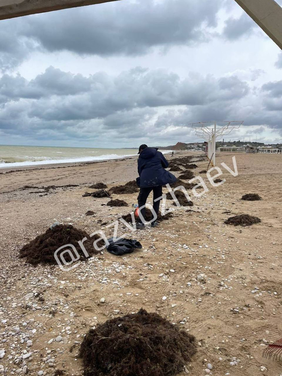 Фото: razvozhaev / Telegram