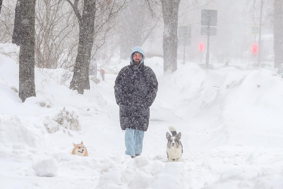 Снегопад в Москве, 19 февраля 2026 года