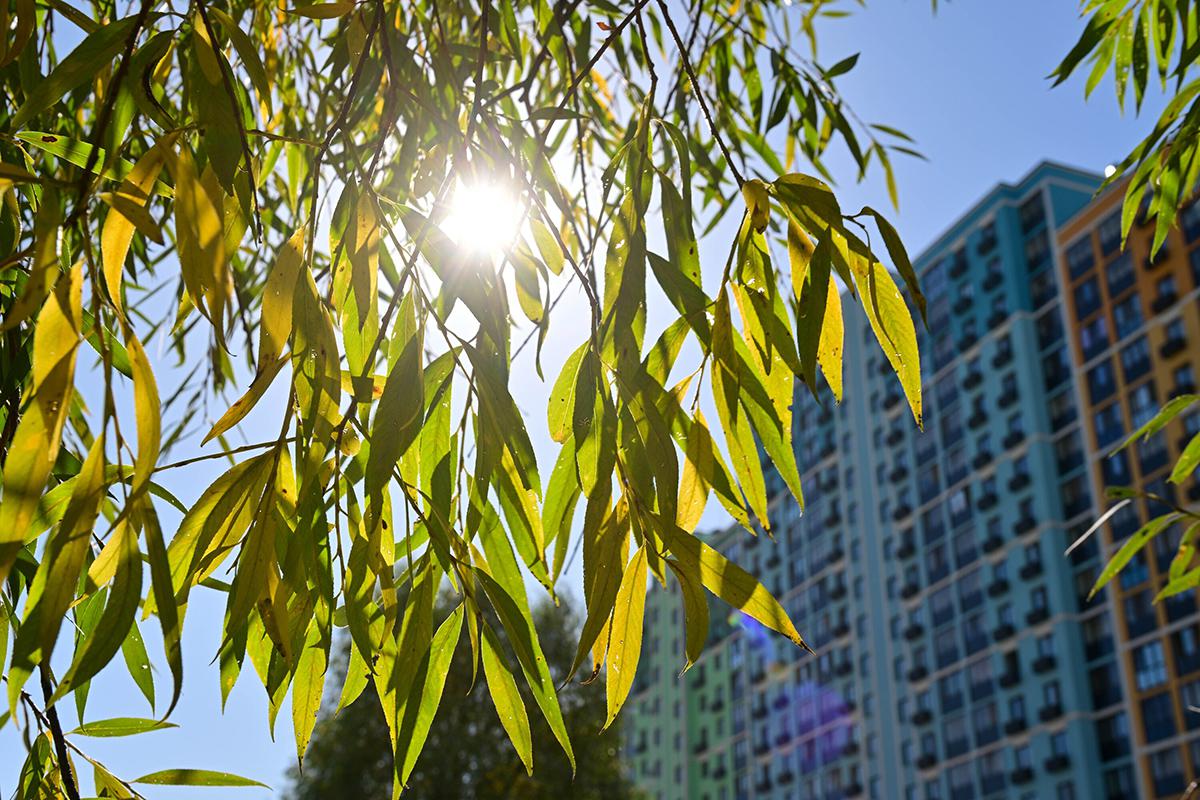 Фото: Сергей Киселев / Агентство «Москва»