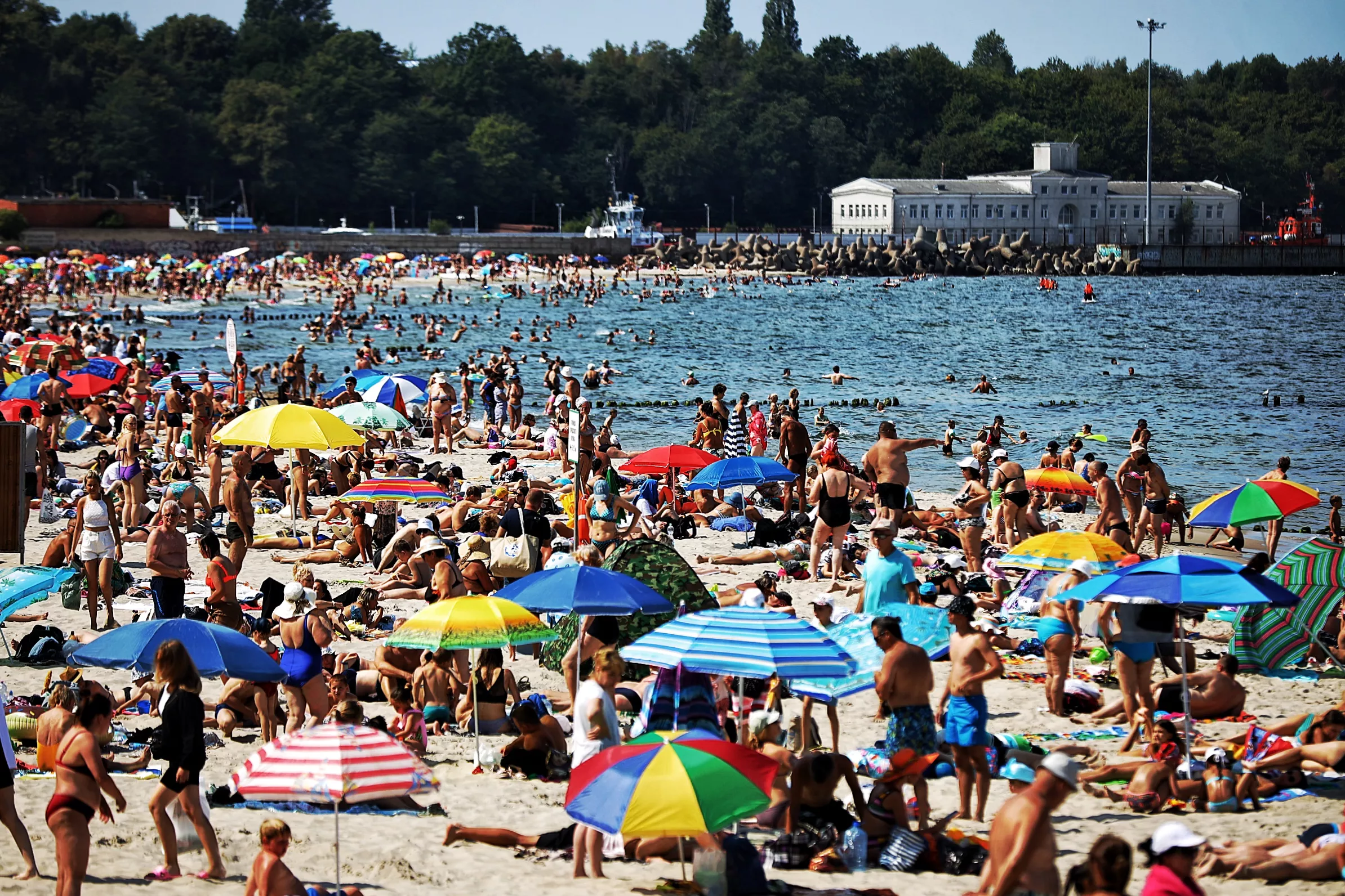 Александр Подгорчук