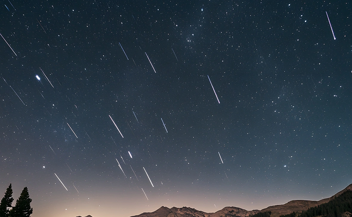 Jan Garbers / Shutterstock