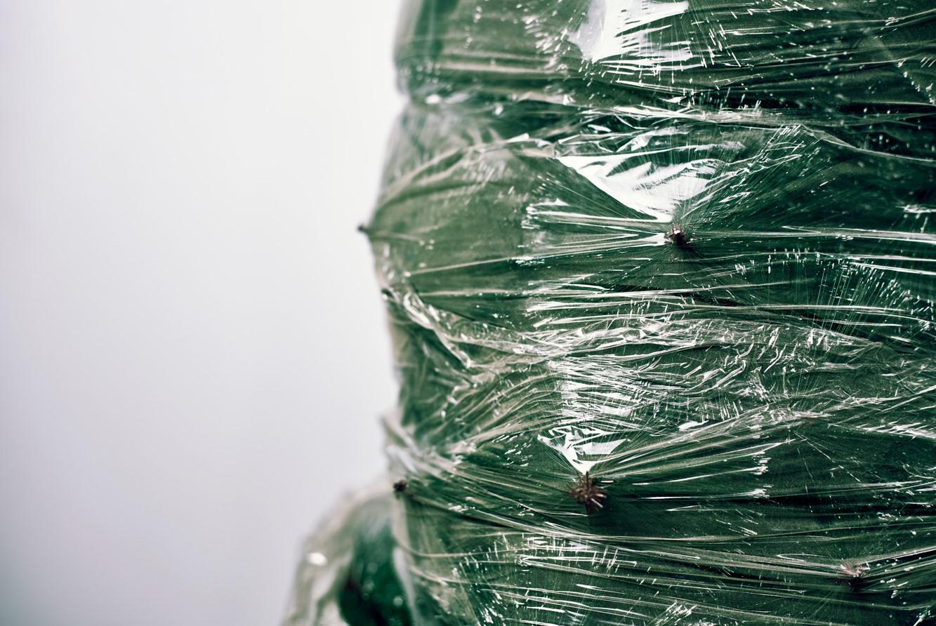 Фото: G.Tbov / Shutterstock / FOTODOM