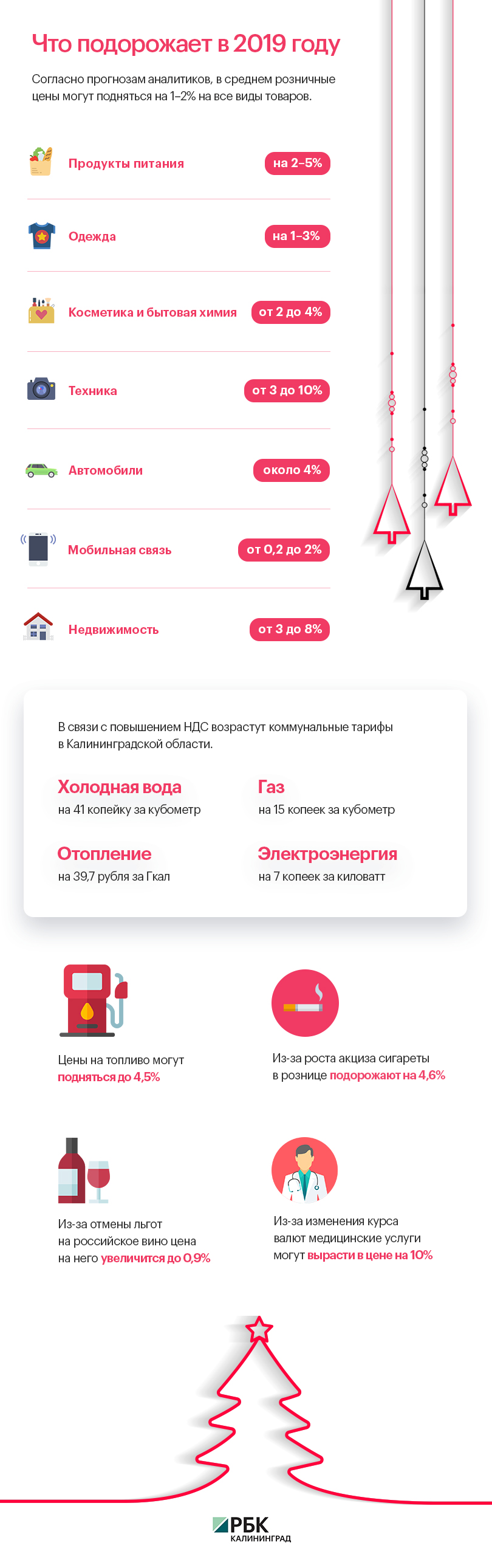 Что подорожает в 2019 году: инфографика РБК Калининград