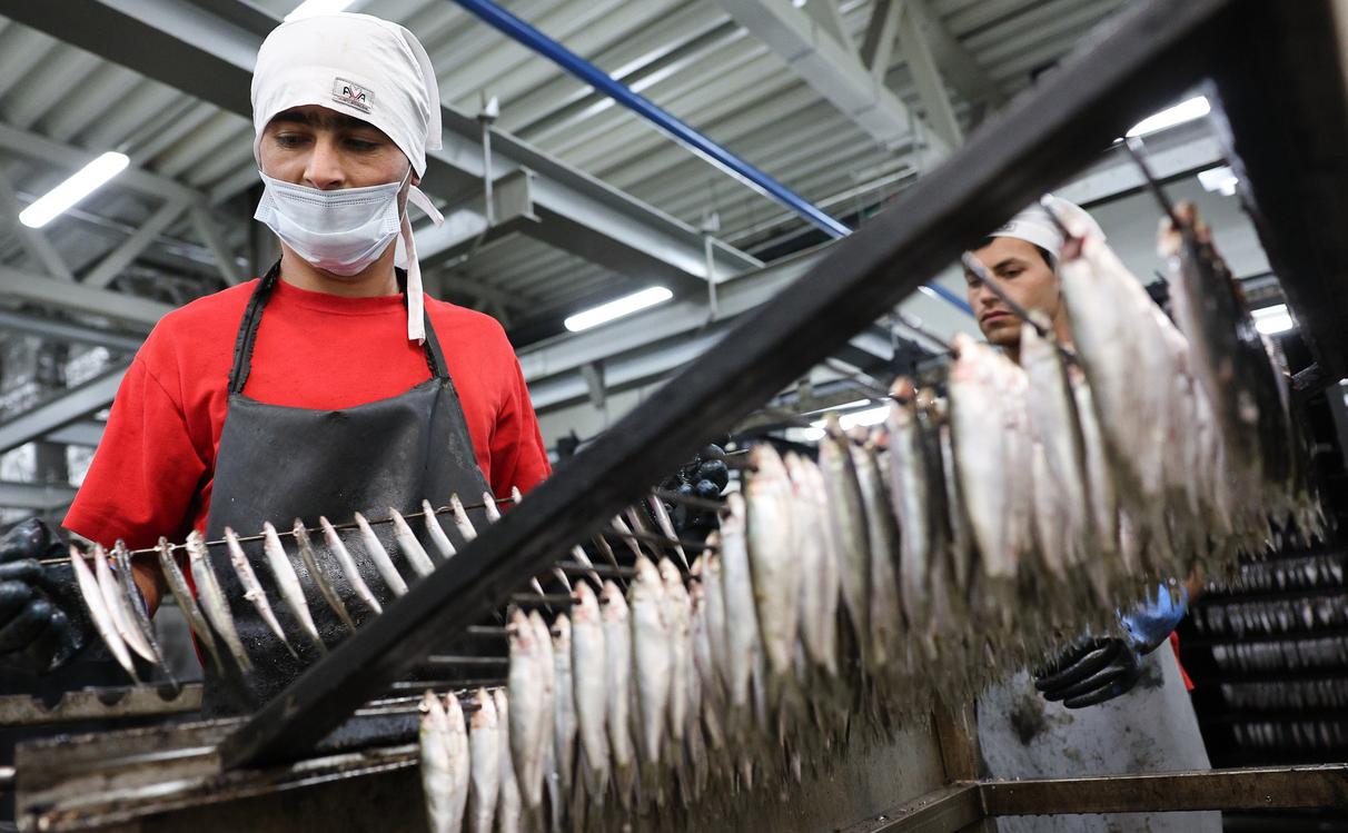 В Калининграде заявили о приостановке рыбного экспорта из-за новых