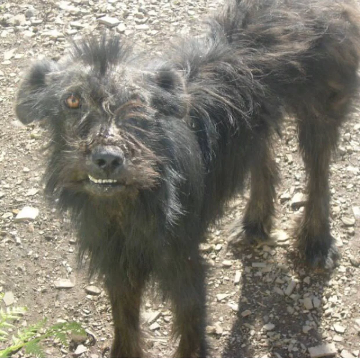 РБК Приморье 