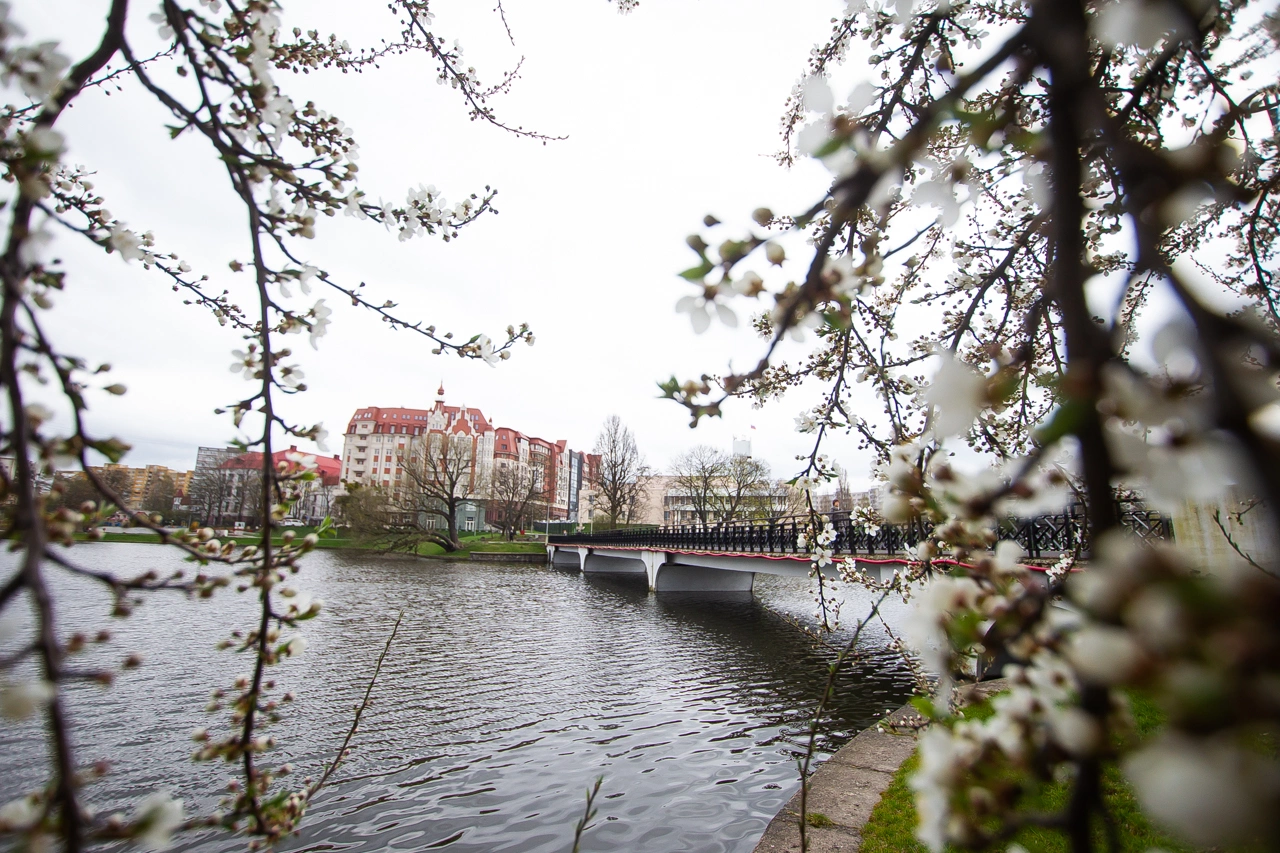 Александр Подгорчук