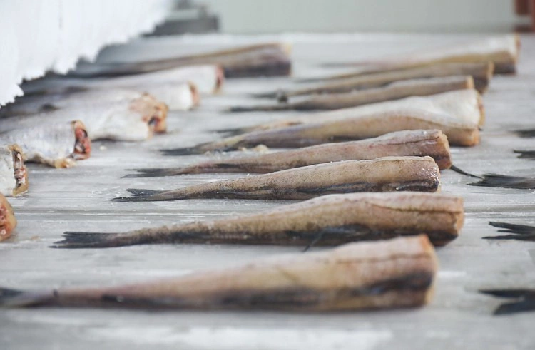 пресс-служба правительства Приморского края