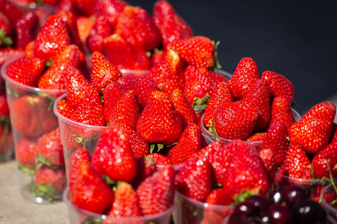 Илья Московец / РИА URA.RU