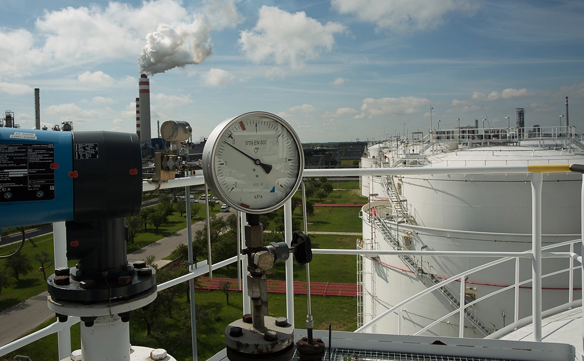 Zuzana Gogova / Getty Images