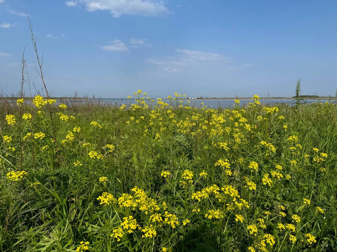 РБК Приморье