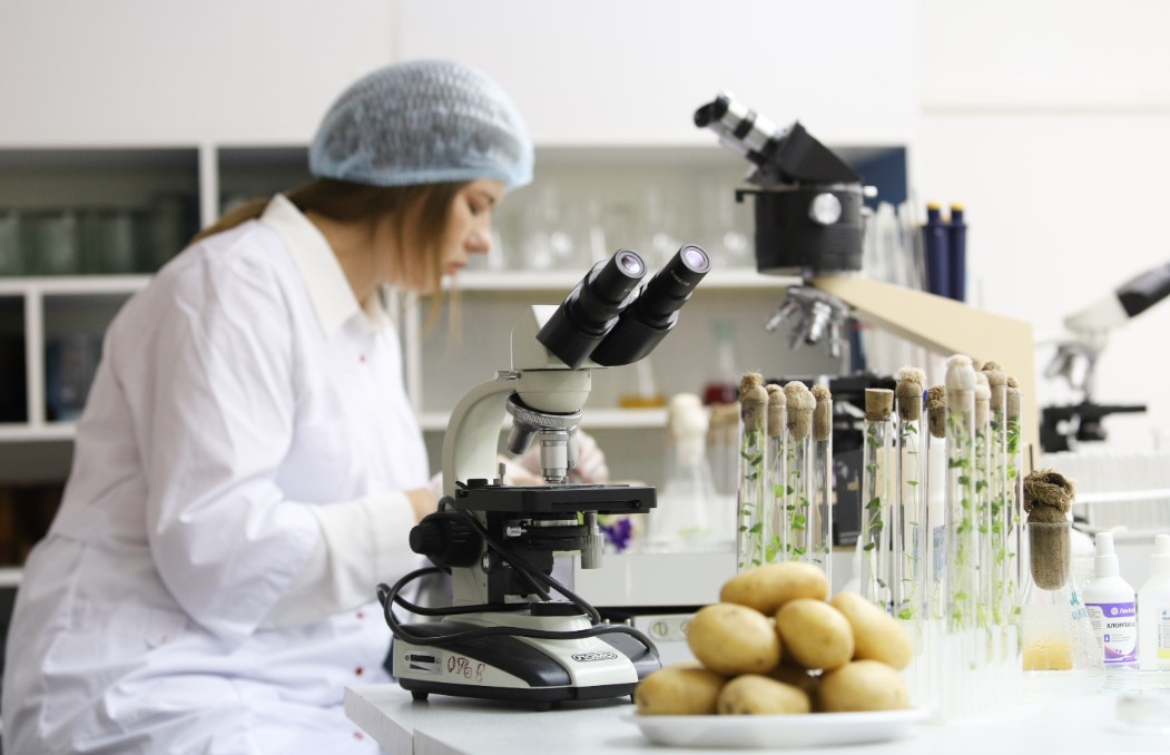 Фото: Екатерина Сычкова / URA.RU