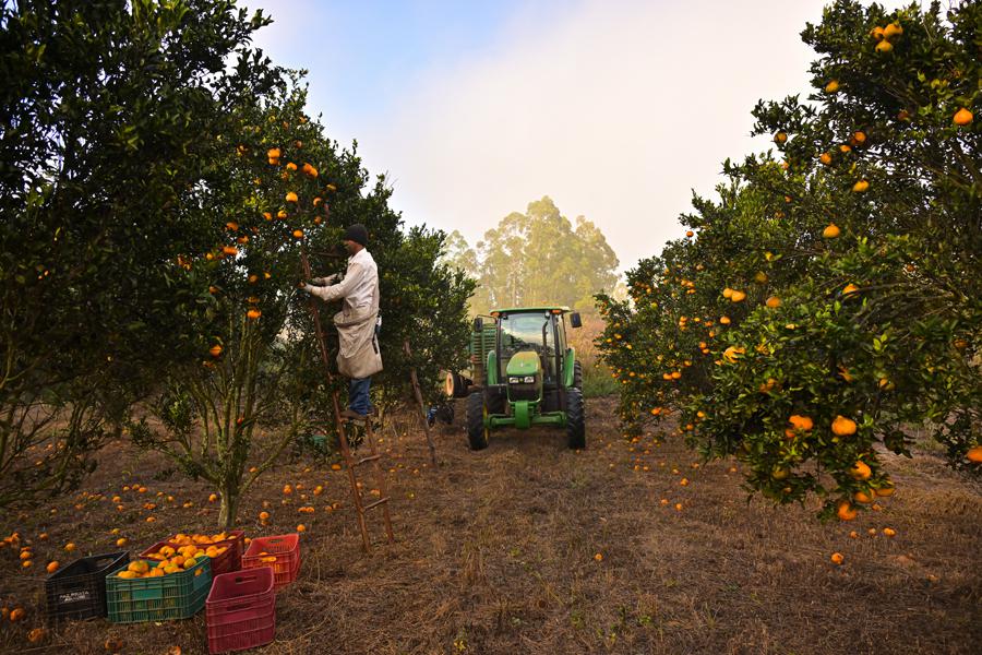Фото: Pedro Vilela / Getty Images
