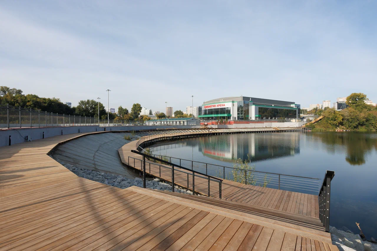 Фото: Брусника