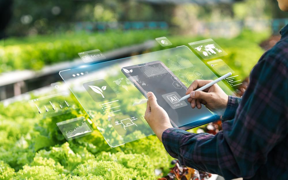 Фото: Shutterstock