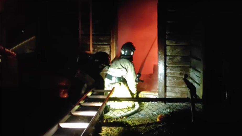 Больше десяти животных погибли при пожаре в зоопарке Новосибирска