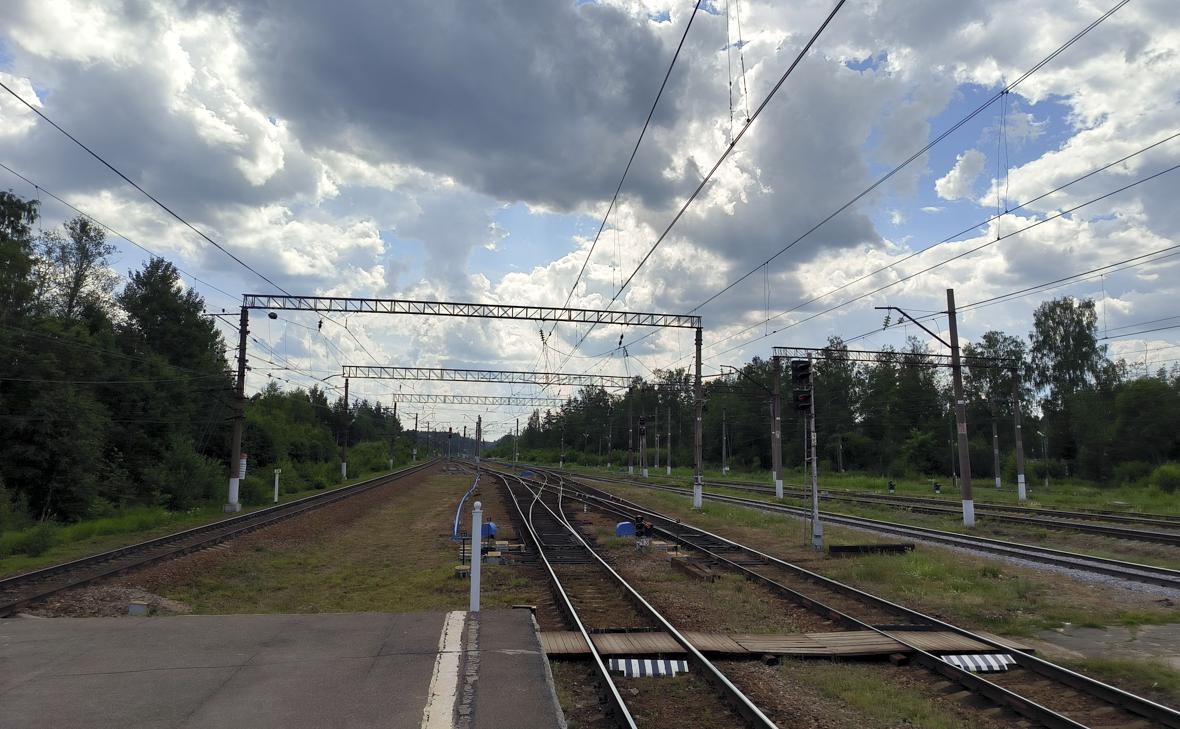 Фото:Максим Константинов / Global Look Press